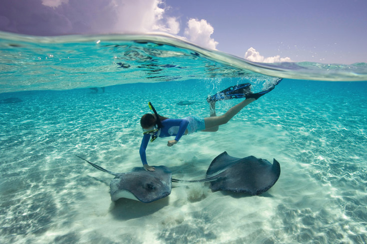 Southern stingrays reside in the warm, calm waters of Stingray Cove. You can spot them on kayaking or glass-bottom-boat rides through the clear water, but the biggest thrill is don a snorkel and mask for a guided stingray swim and touch their velvety wings as they sail by.